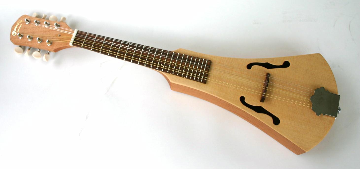 【激レア】Martin backpacker mandolin